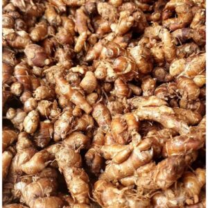Aromatic Ginger