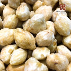 Candlenut